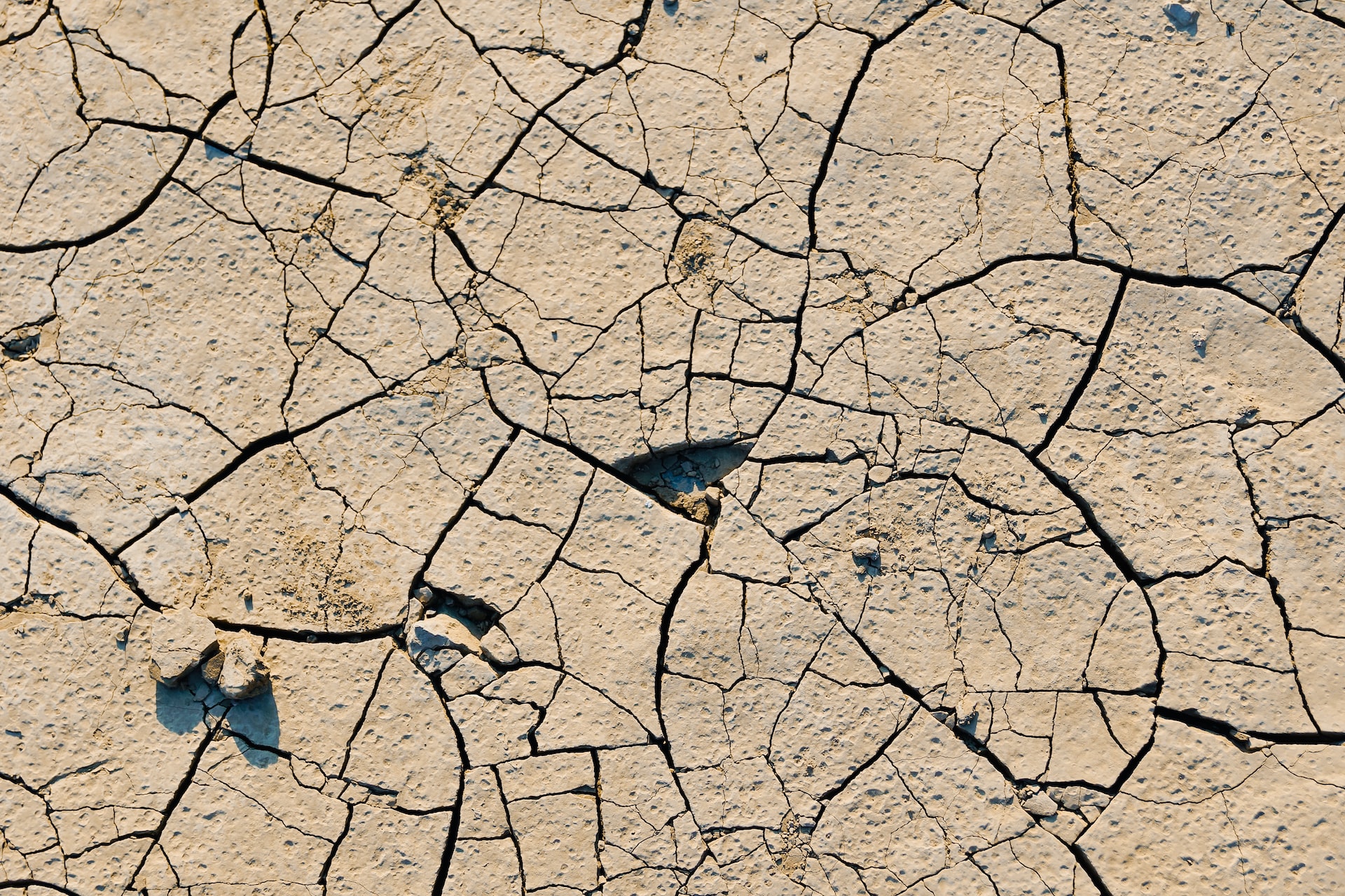https://ai.horasis.org/wp-content/uploads/2022/12/anton-ivanchenko-ESqdY3R98-Y-unsplash.jpg